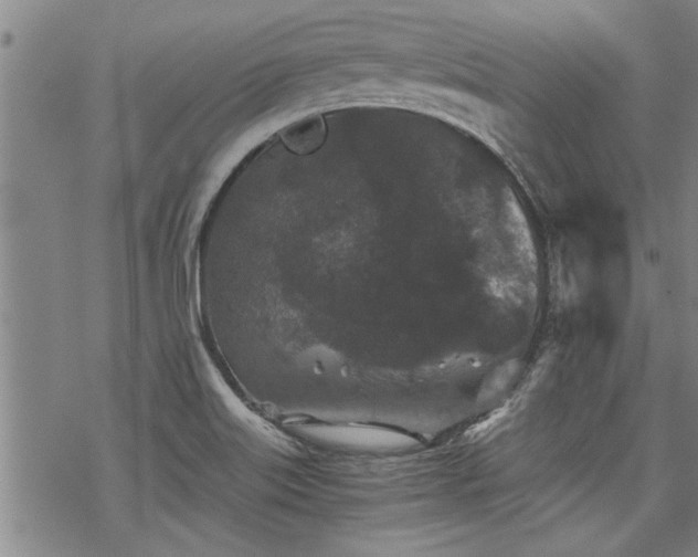 X0000069811515200605191032