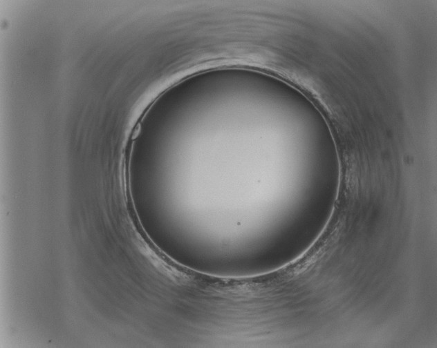 X0000069811516200605191032