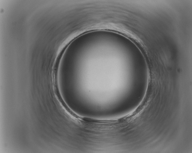 X0000069811517200605191032