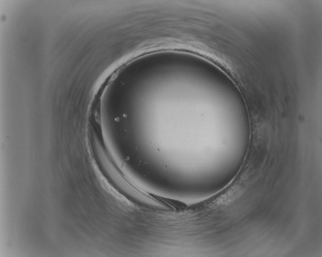 X0000069811518200605191032