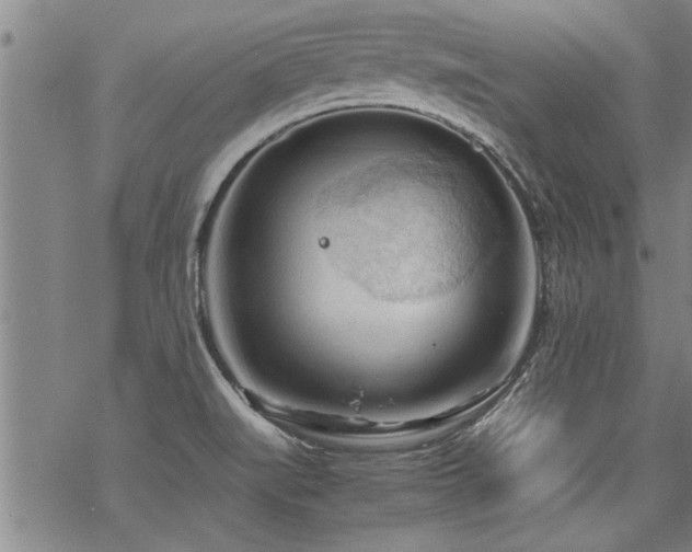 X0000069811519200605191032