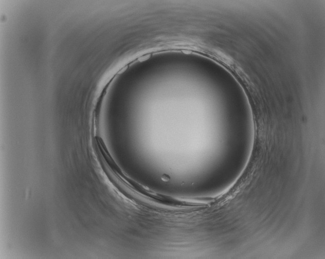 X0000069811520200605191032