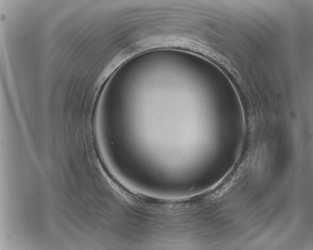 X0000069811521200605191032