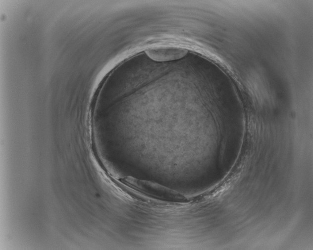 X0000069811522200605191033