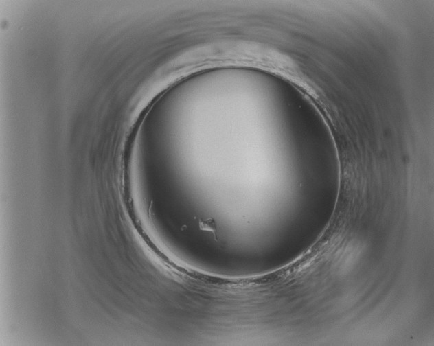 X0000069811523200605191033