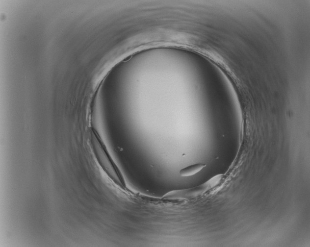 X0000069811524200605191033