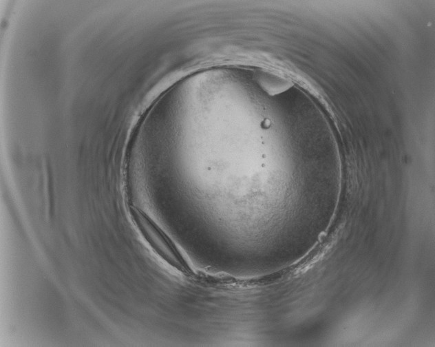 X0000069811525200605191033