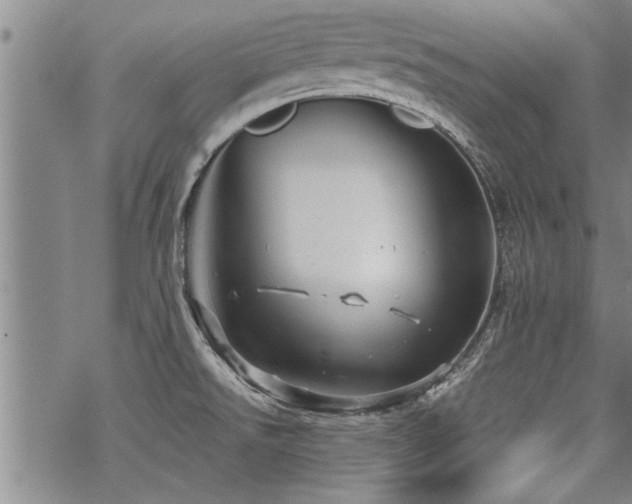 X0000069811526200605191033