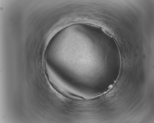 X0000069811527200605191033