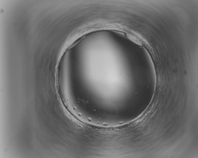 X0000069811528200605191033