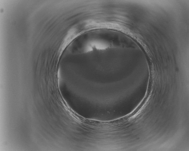 X0000069811529200605191033