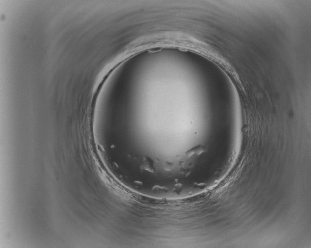 X0000069811530200605191033