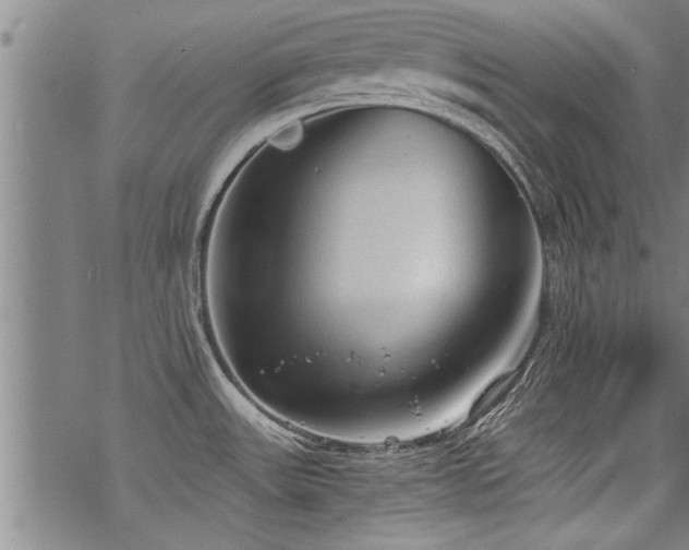 X0000069811531200605191033