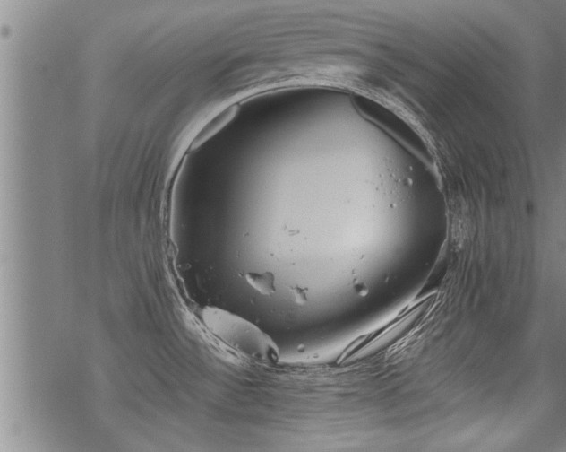 X0000069811532200605191033