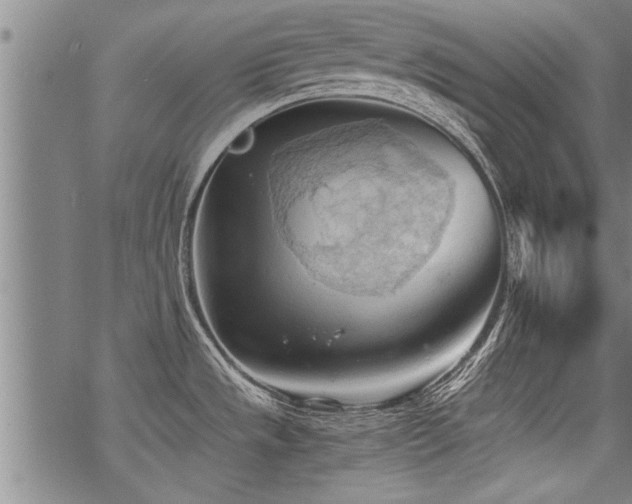 X0000069811533200605191033