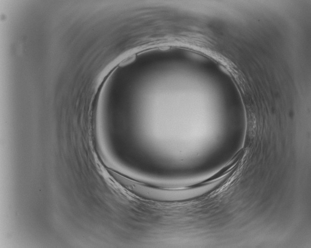 X0000069811534200605191033