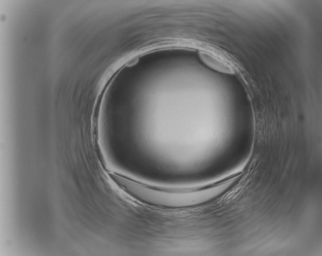 X0000069811535200605191033