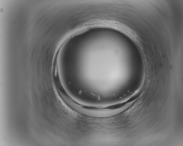 X0000069811536200605191033