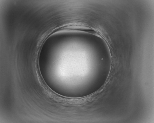 X0000069810001200605221216