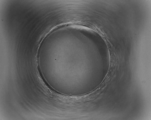 X0000069810002200605221216