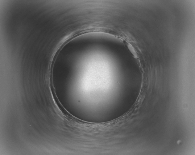 X0000069810003200605221216