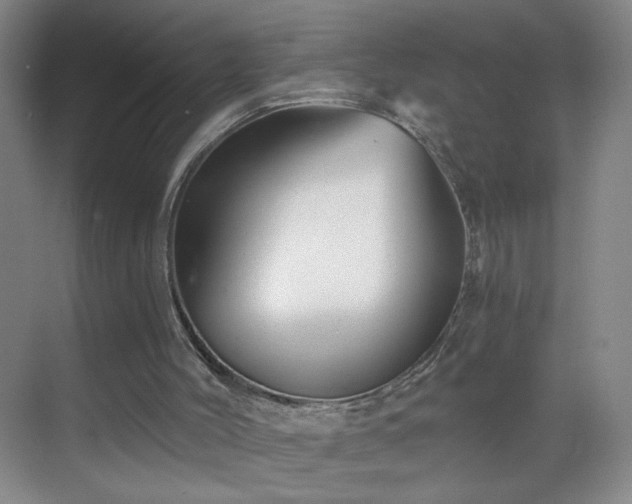 X0000069810004200605221216