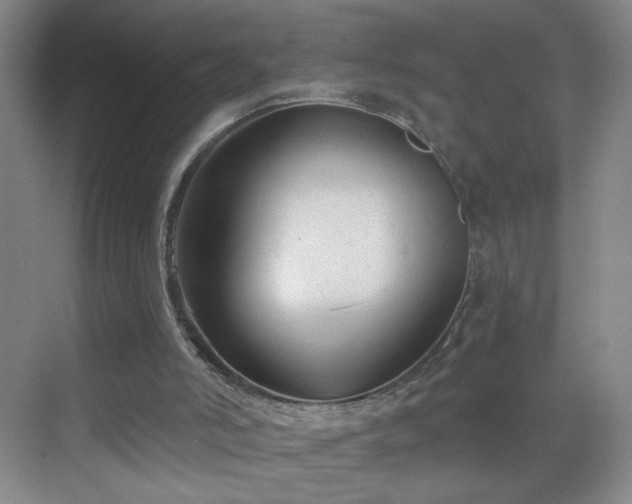 X0000069810006200605221216