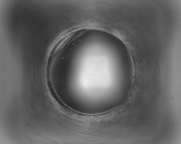 X0000069810007200605221216