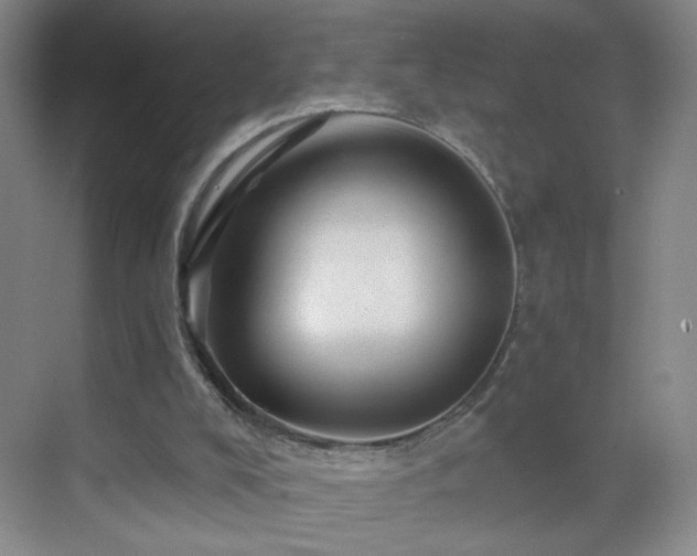 X0000069810008200605221216