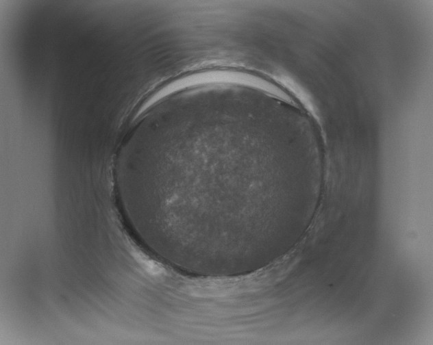 X0000069810009200605221216