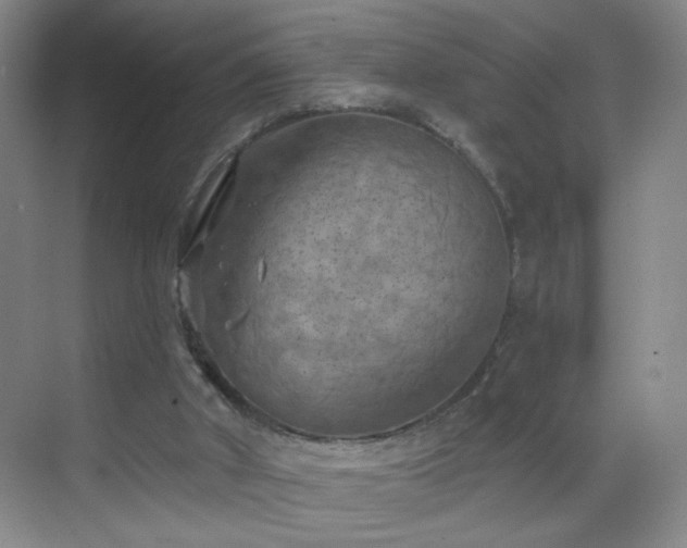 X0000069810010200605221216