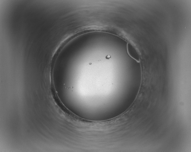 X0000069810011200605221216