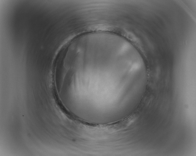 X0000069810012200605221216