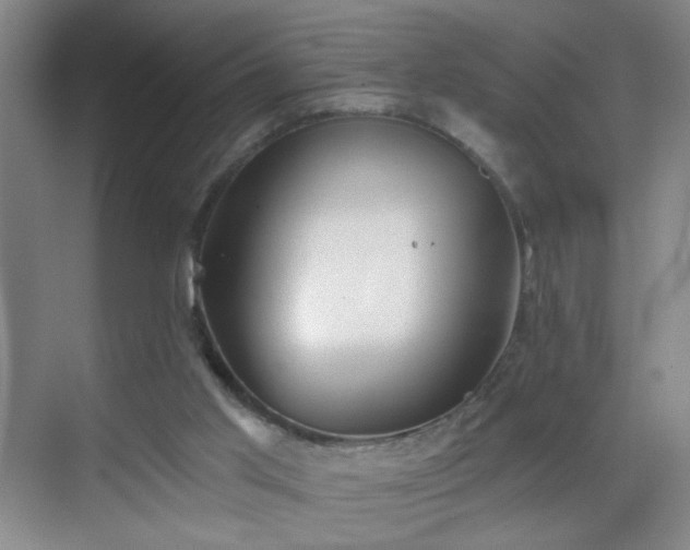 X0000069810013200605221216