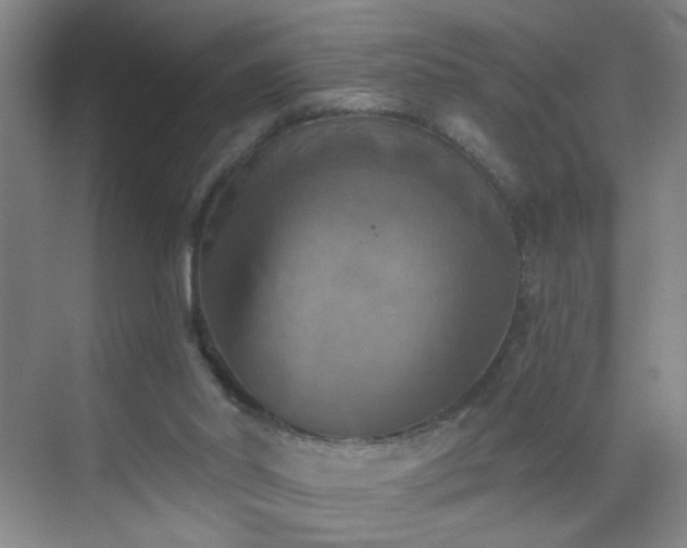 X0000069810014200605221216