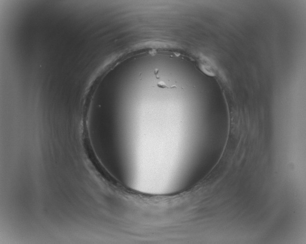 X0000069810015200605221216