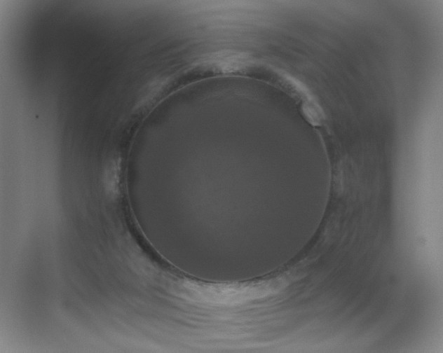 X0000069810018200605221216