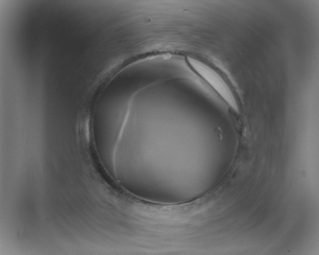 X0000069810019200605221216