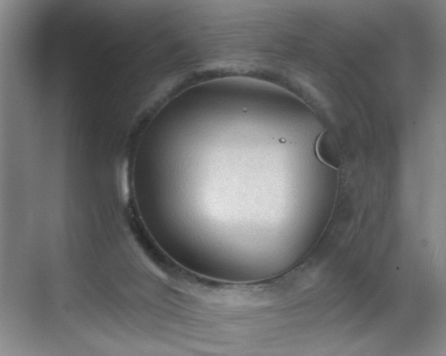 X0000069810020200605221216