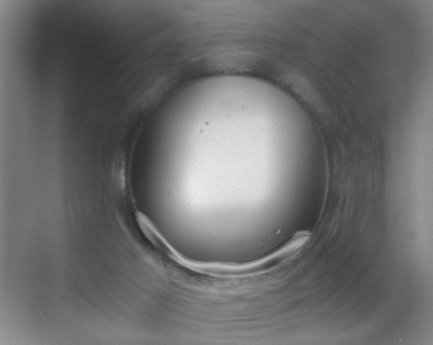 X0000069810021200605221216