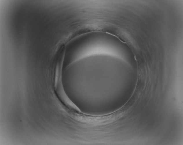 X0000069810023200605221216