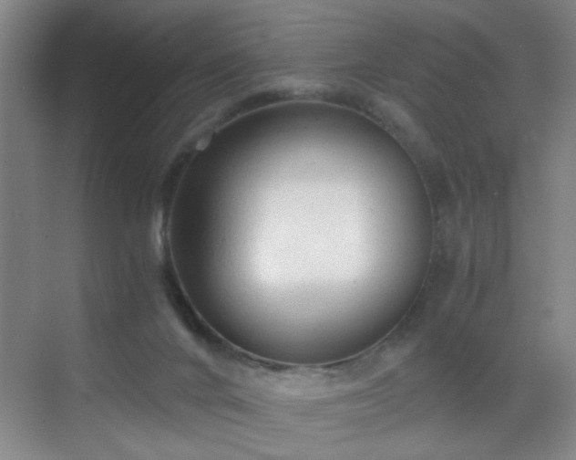 X0000069810024200605221216