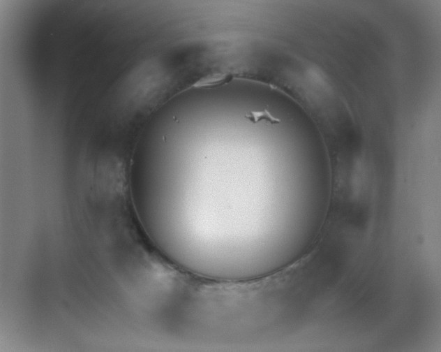 X0000069810025200605221216