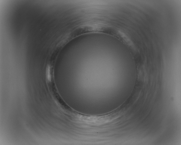 X0000069810026200605221216