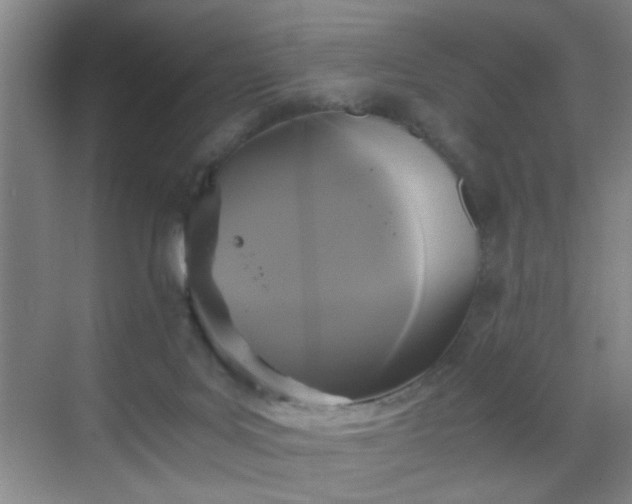 X0000069810027200605221216