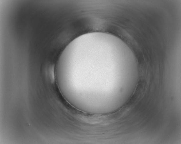 X0000069810028200605221216