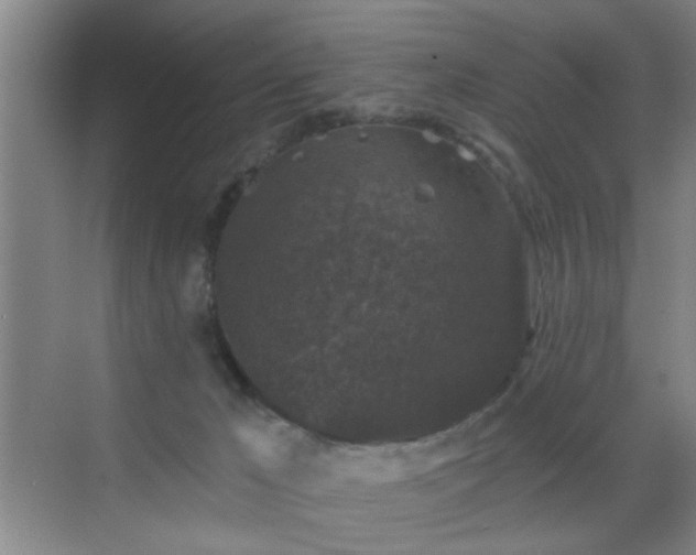 X0000069810029200605221216