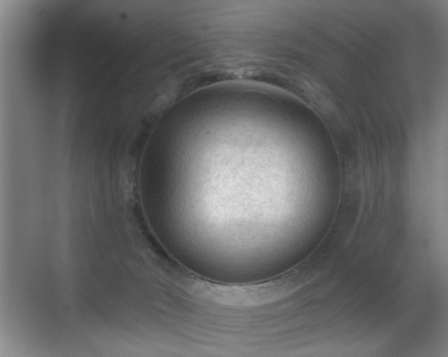 X0000069810030200605221216