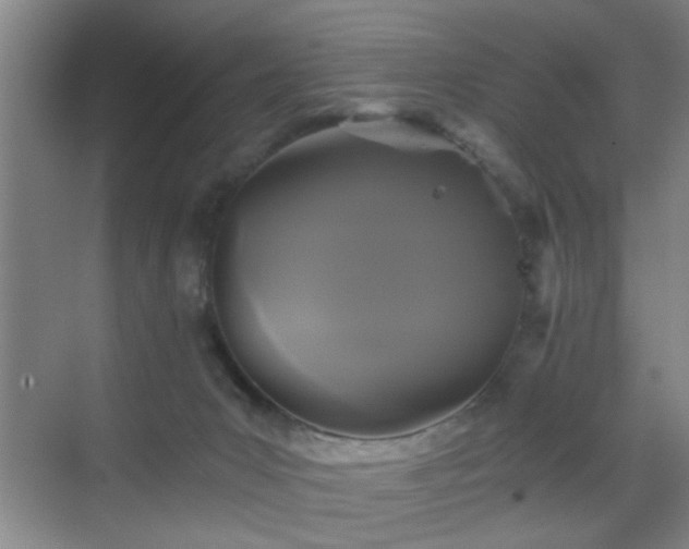 X0000069810031200605221216