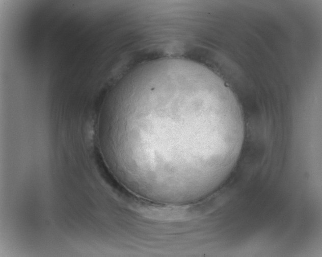 X0000069810032200605221216